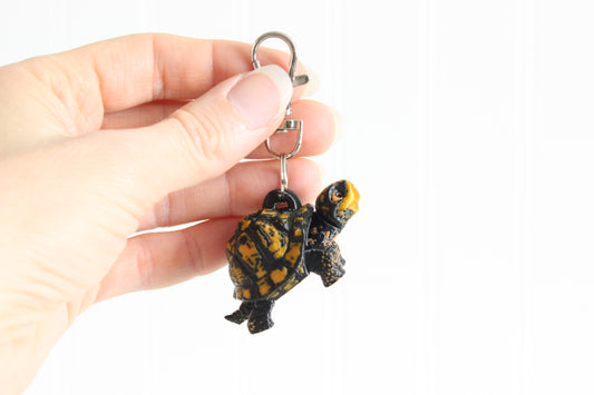 Turtle- Box