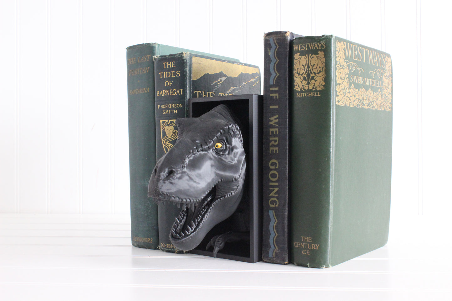 Dinosaur Book Nook, Dinosaur Head Bookshelf Decor, 3D Print