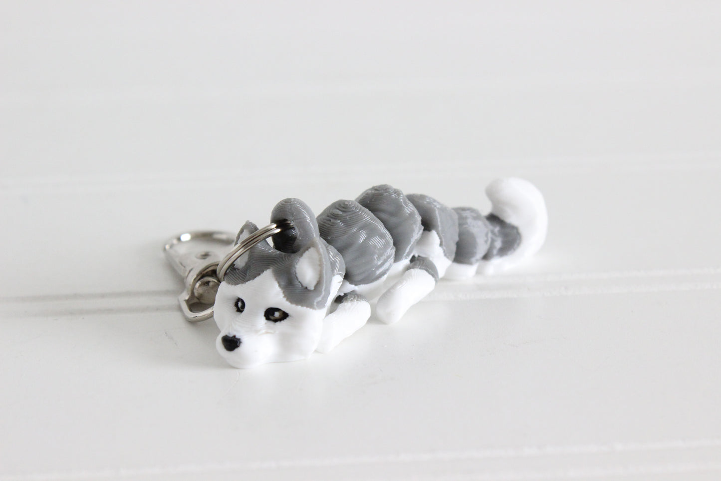 Dog- Husky