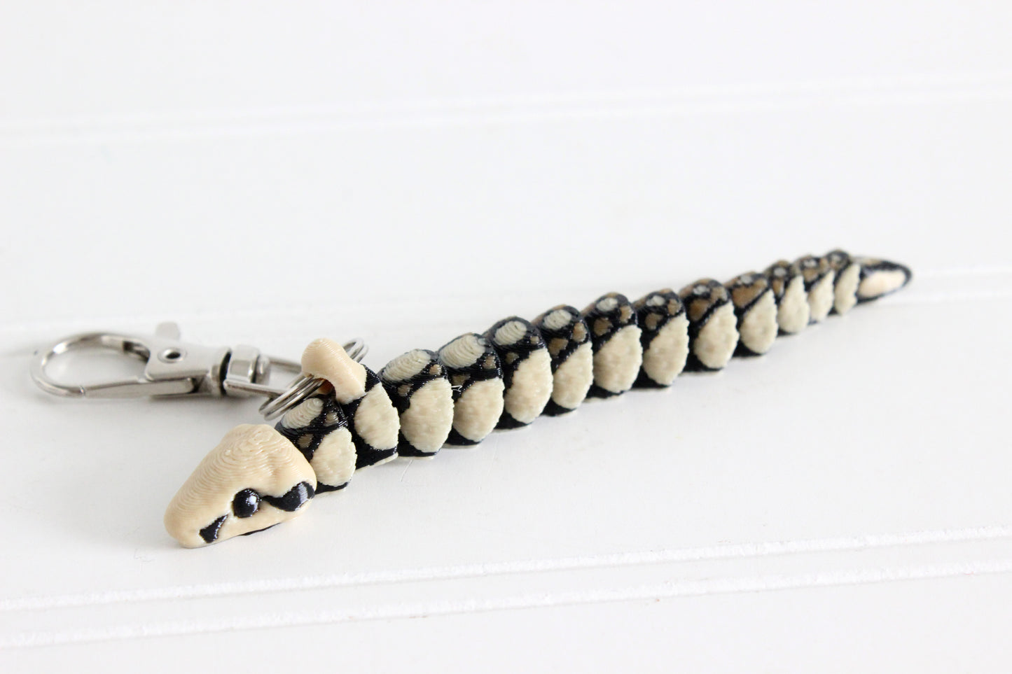 Snake- Boa Constrictor