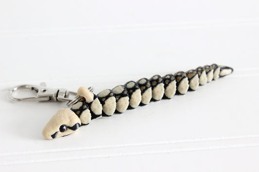 Snake- Boa Constrictor