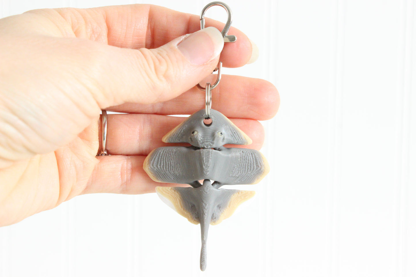 Ray- Stingray