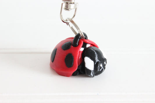 Ladybug