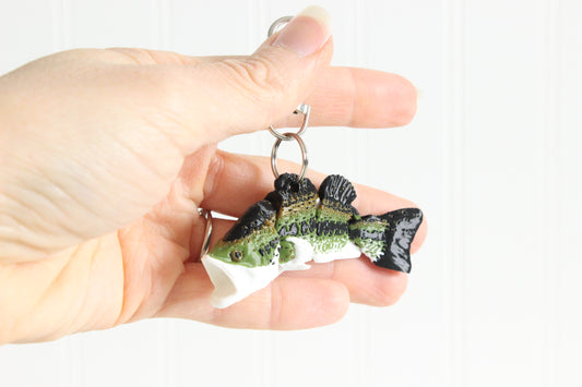 Fish- Bass