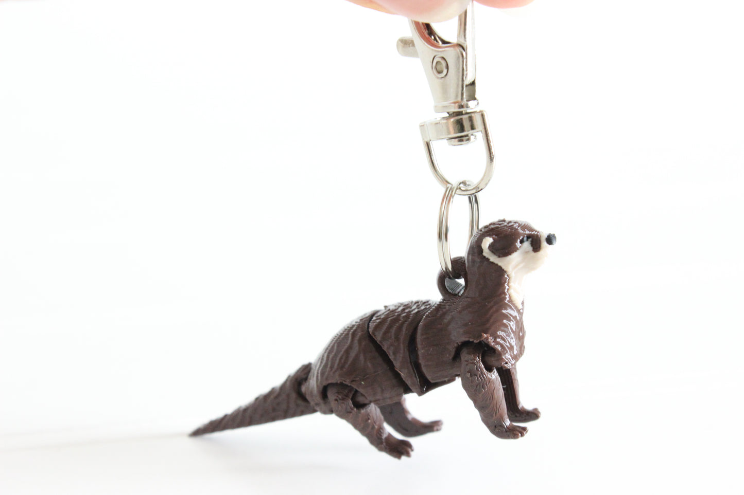 Otter- River Otter