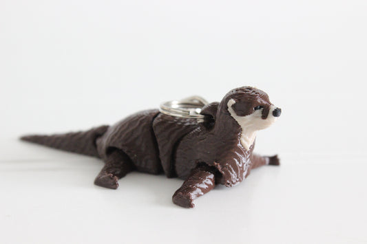 Otter- River Otter