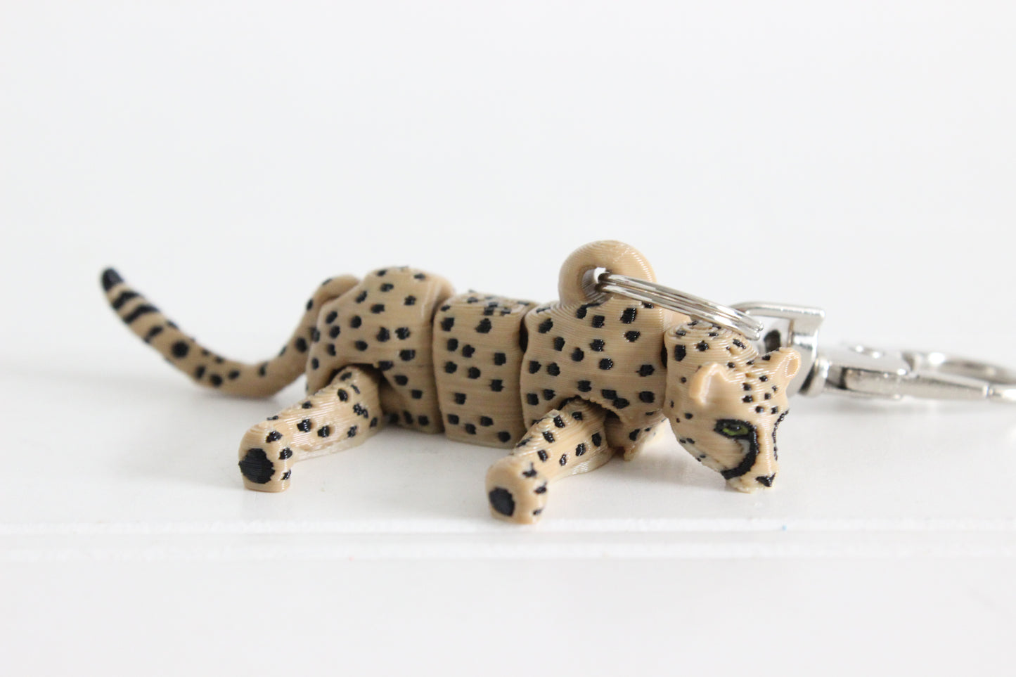 Cheetah