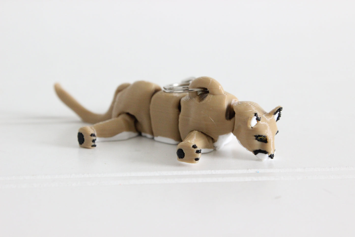 Mountain Lion/ Cougar