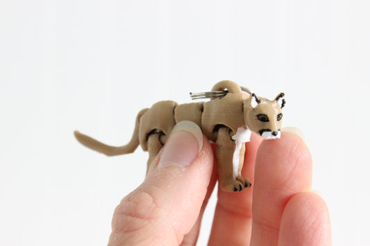 Mountain Lion/ Cougar