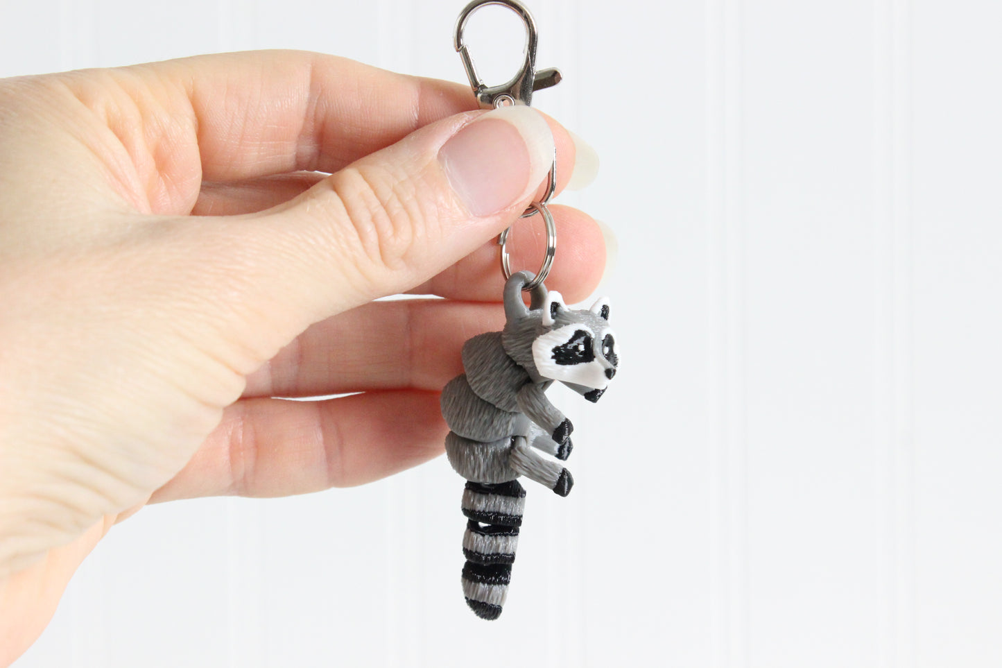 Raccoon
