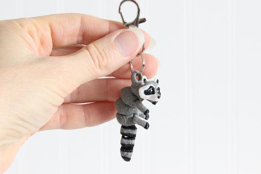Raccoon