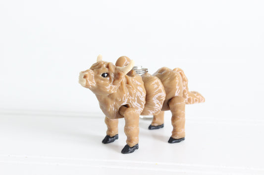 Cow- Highland